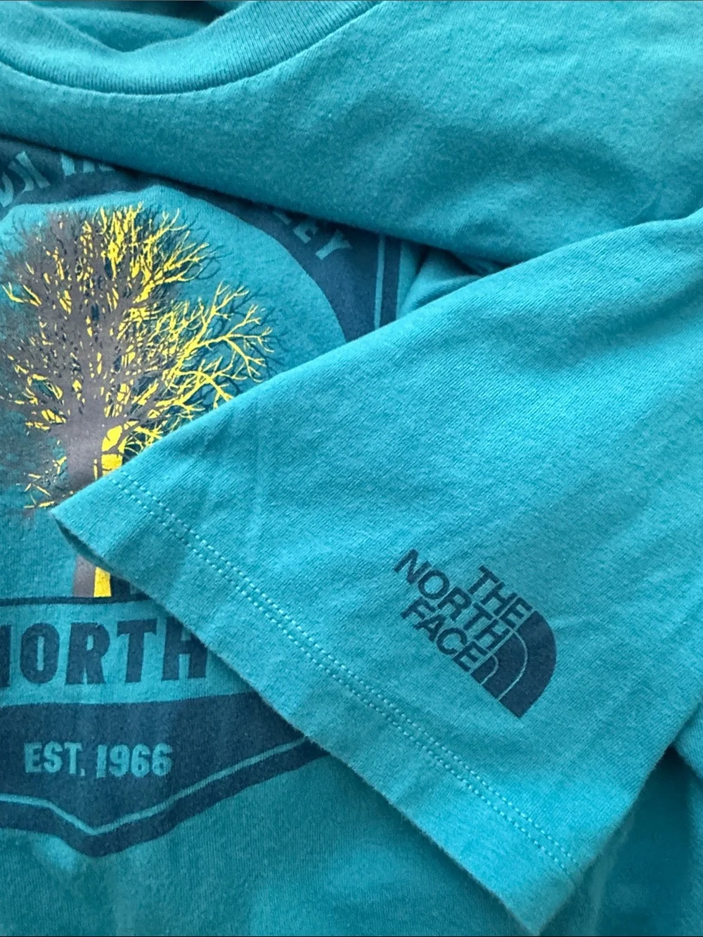 The North Face Men’s Teal Blue Graphic Short-Sleeve Tee